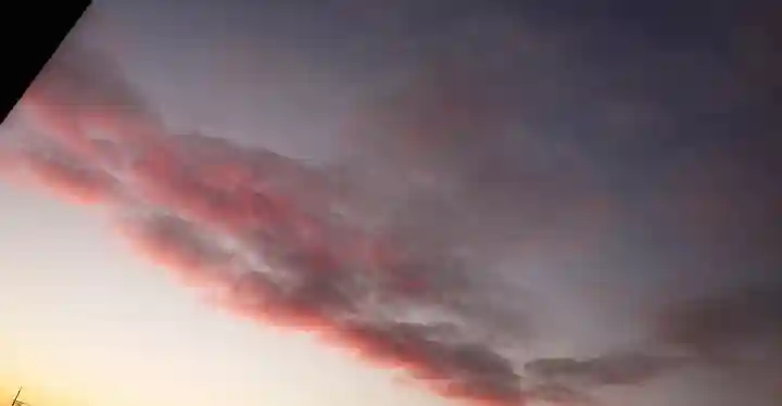 神明社(国府宮神明社)の景色