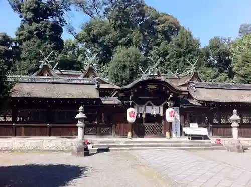 平野神社の本殿・本堂