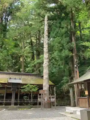 諏訪大社下社春宮(長野県)