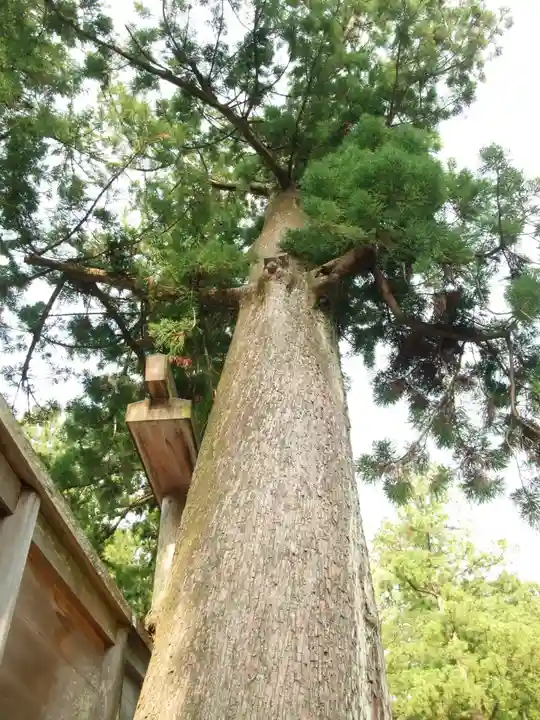 伊勢神宮外宮(豊受大神宮)(三重県)