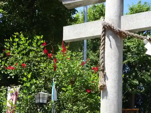若宮八幡宮 の自然