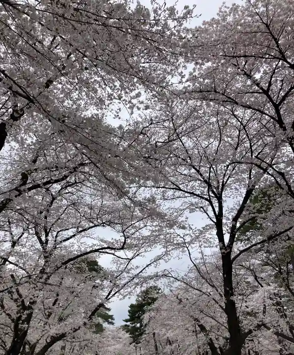 武蔵一宮氷川神社(埼玉県)