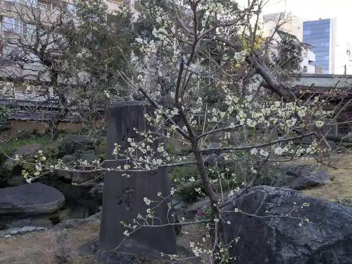 湯島天満宮(東京都)