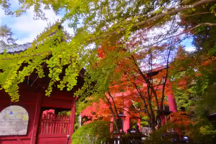 北口本宮冨士浅間神社(山梨県)