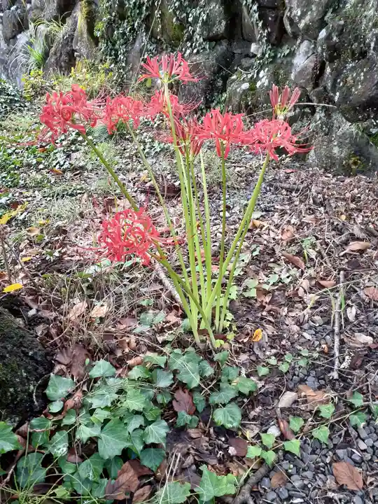 天王寺(福島県)