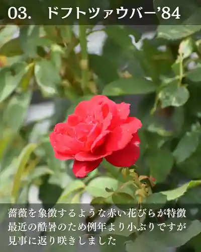 宝光寺(北海道)