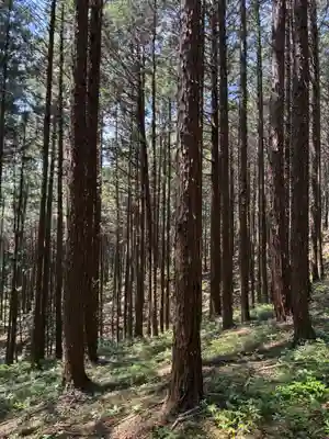 日光大室高龗神社(栃木県)