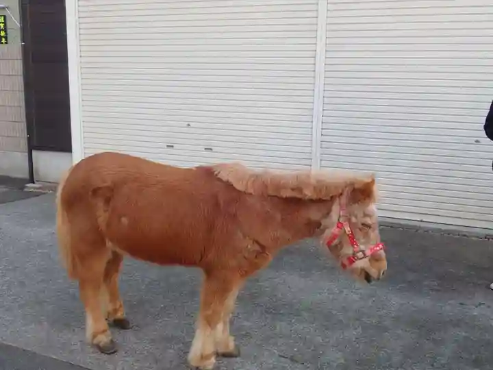 五方山熊野神社(東京都)