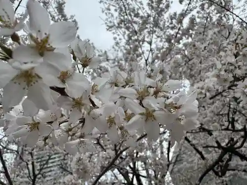金神社(岐阜県)