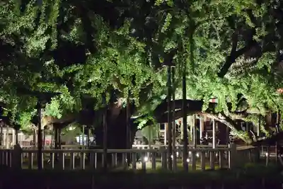 本願寺（西本願寺）(京都府)