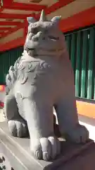 千葉神社の狛犬