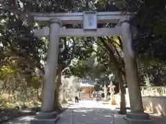 猿田神社の鳥居