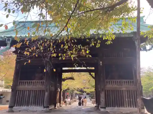 祐天寺の山門・神門