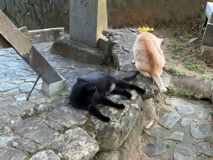王子神社の動物