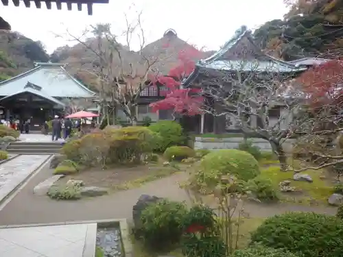 海蔵寺の庭園