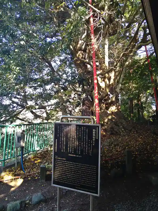 阿蘇神社のその他建物