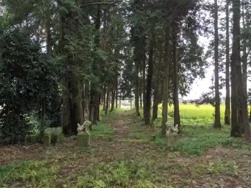 亀和田天満宮のその他建物