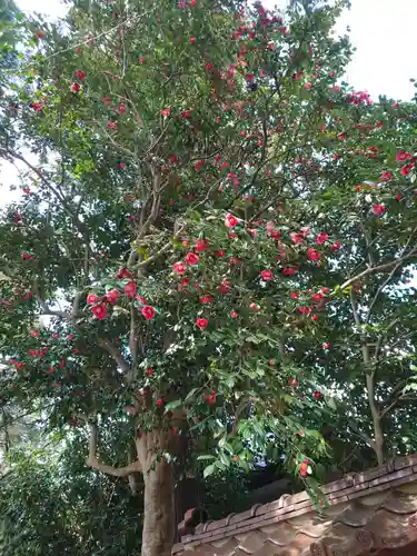 医王寺(福島県)