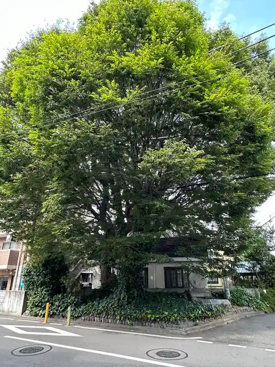小野神社(東京都)