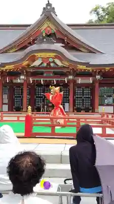 北海道護國神社の神楽