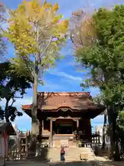 戸越八幡神社(東京都)