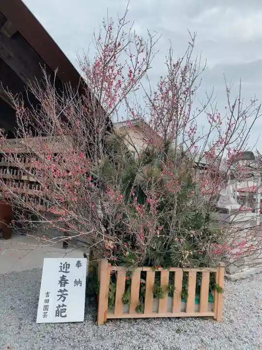 白鷺神社の自然