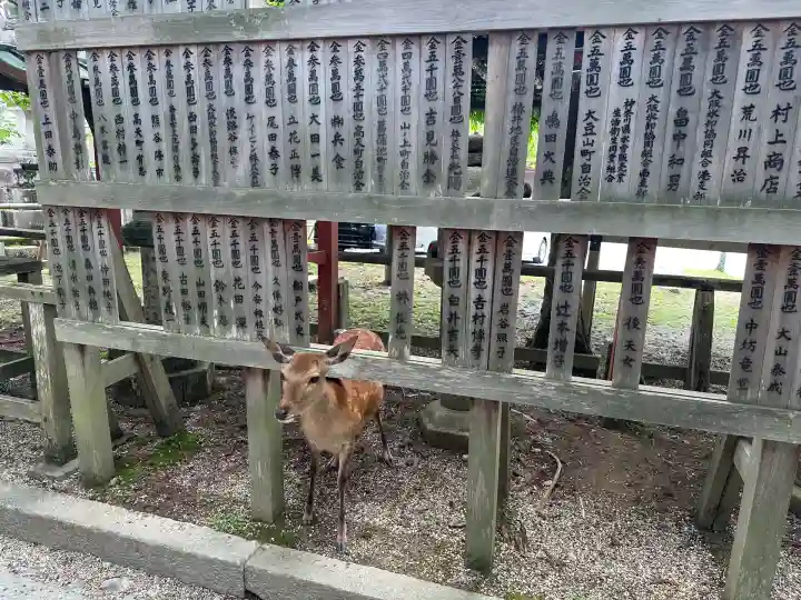 氷室神社(奈良県)