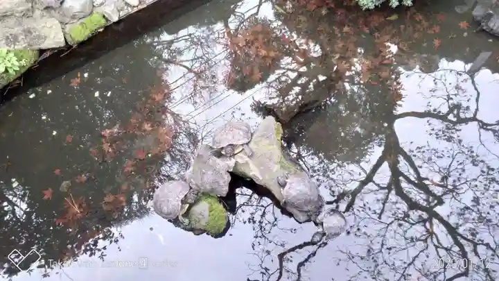 成田山川越別院のその他建物