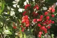 大六天麻王神社の授与品その他