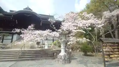 近江神宮(滋賀県)