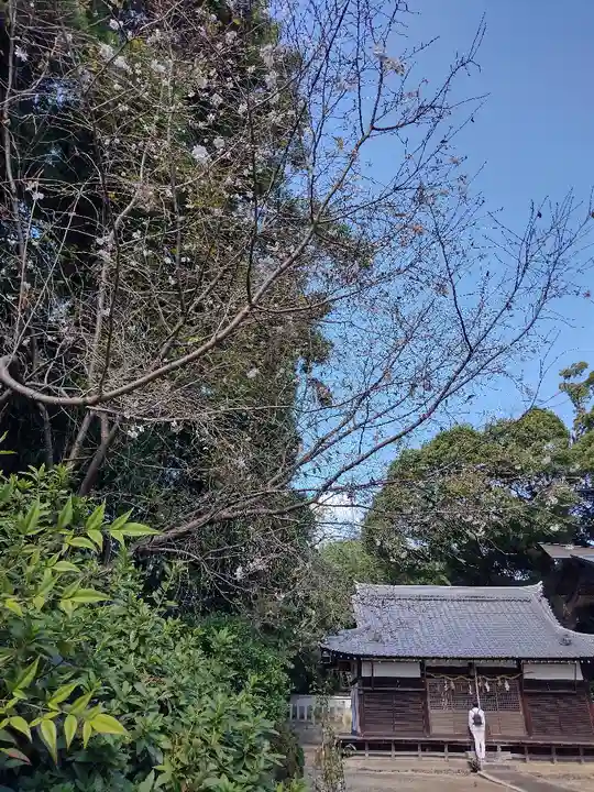畑山神社の本殿・本堂