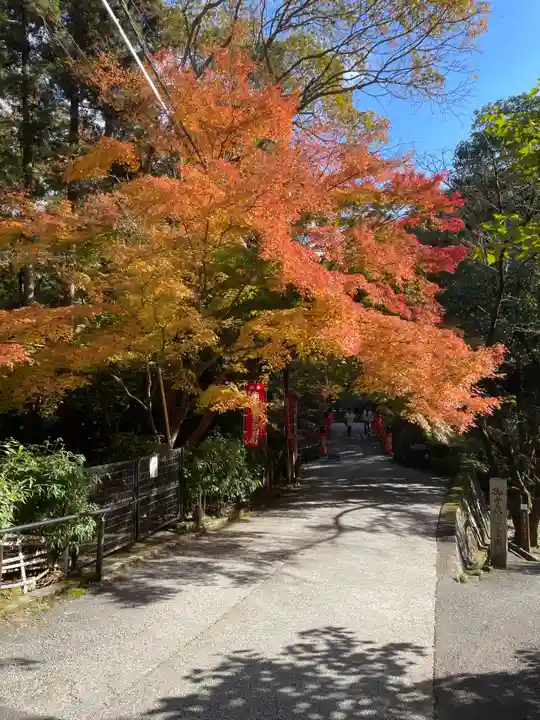 今熊野観音寺(京都府)