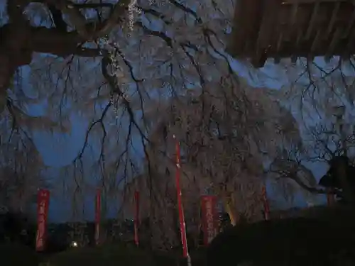 身照寺(岩手県)