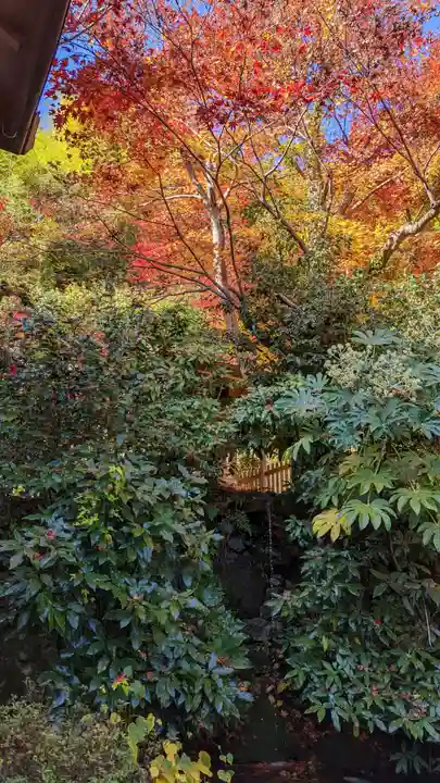 長法寺(京都府)