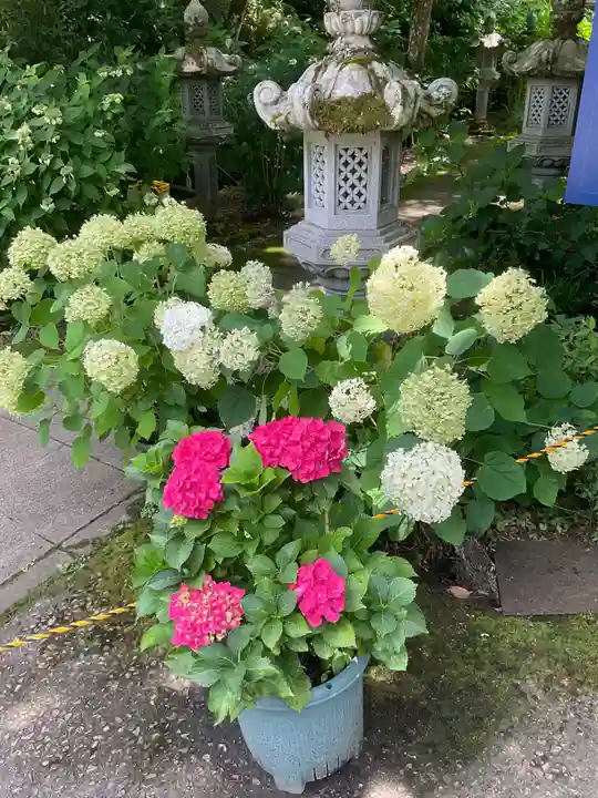 観音寺(京都府)