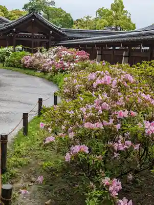 城南宮(京都府)