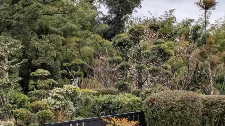 靈山寺(霊山寺)(大阪府)