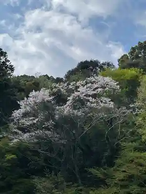 小松寺(千葉県)