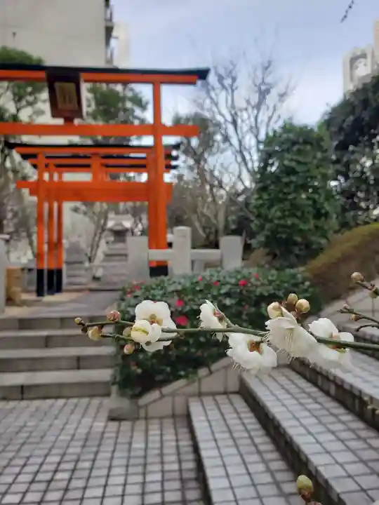 銀世界稲荷神社(東京都)