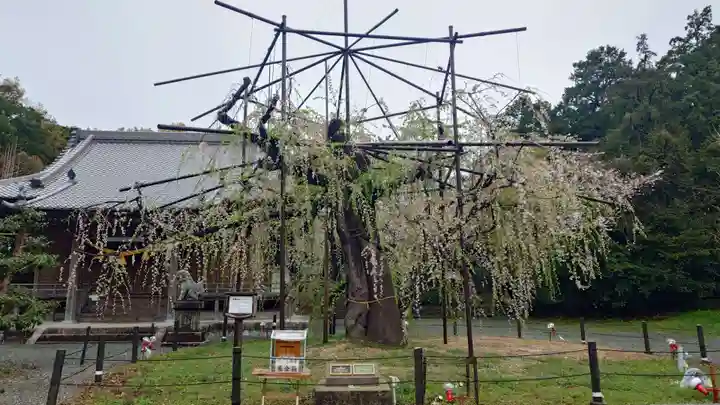 八幡社(愛知県)