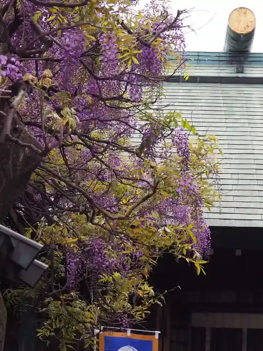 國領神社(東京都)