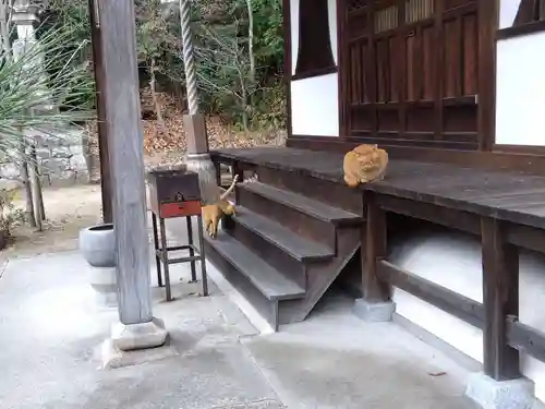 平林寺(兵庫県)