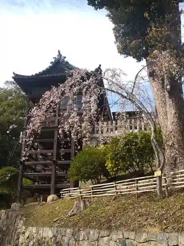 阿智神社の景色