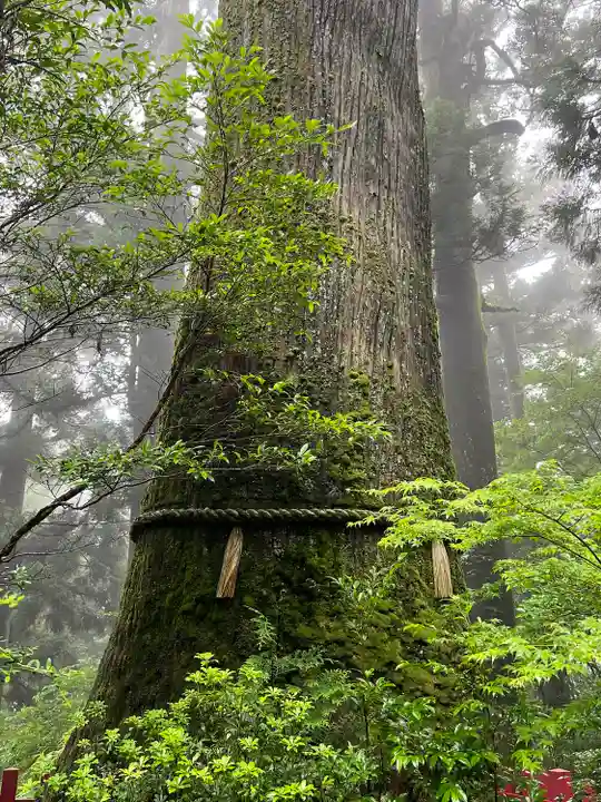 箱根神社(神奈川県)