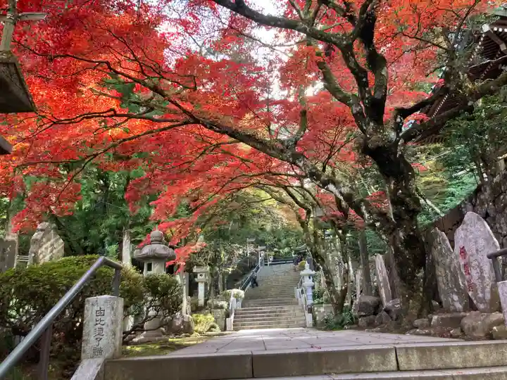 最乗寺(道了尊)(神奈川県)
