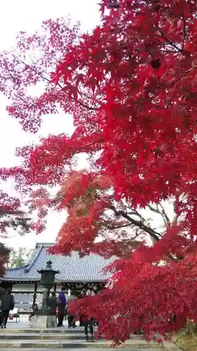 仁和寺のその他建物