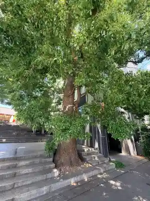 赤城神社の{uncategorized: "未分類", other: "その他", undefined: "問題あり", building: "その他建物", grave: "お墓", sacred_gate: "鳥居", guardian: "狛犬", statue: "像", buddha: "仏像", history: "歴史", nature: "自然", garden: "庭園", animal: "動物", pagoda: "塔", temizu: "手水舎", mountain_gate: "山門・神門", sanctuary: "本殿・本堂", subordinate: "末社・摂社", art: "芸術", scenery: "景色", jizo: "地蔵", ema: "絵馬", goshuin: "御朱印", omikuji: "おみくじ", items: "授与品その他", amulet: "お守り", goshuincho: "御朱印帳", eats: "食事", festival: "お祭り", votive_dance: "神楽", shichigosan: "七五三参", wedding: "結婚式", experience: "体験その他", initially: "初詣", around: "周辺", anti_infection: "感染症対策"}