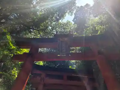 伏見稲荷大社の{uncategorized: "未分類", other: "その他", undefined: "問題あり", building: "その他建物", grave: "お墓", sacred_gate: "鳥居", guardian: "狛犬", statue: "像", buddha: "仏像", history: "歴史", nature: "自然", garden: "庭園", animal: "動物", pagoda: "塔", temizu: "手水舎", mountain_gate: "山門・神門", sanctuary: "本殿・本堂", subordinate: "末社・摂社", art: "芸術", scenery: "景色", jizo: "地蔵", ema: "絵馬", goshuin: "御朱印", omikuji: "おみくじ", items: "授与品その他", amulet: "お守り", goshuincho: "御朱印帳", eats: "食事", festival: "お祭り", votive_dance: "神楽", shichigosan: "七五三参", wedding: "結婚式", experience: "体験その他", initially: "初詣", around: "周辺", anti_infection: "感染症対策"}