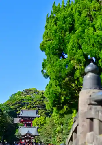 鶴岡八幡宮の景色