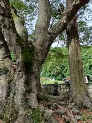 諏訪大社上社前宮(長野県)